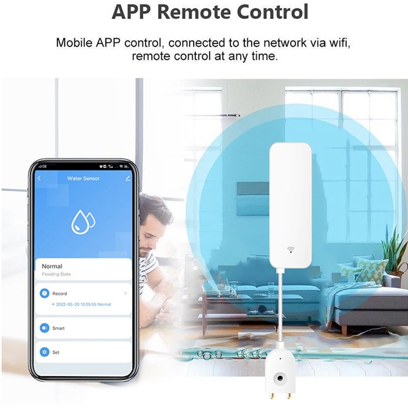 DTEN-Tuya WIFI slimme waterlek - Water Alarm Sensor recensie en prijs